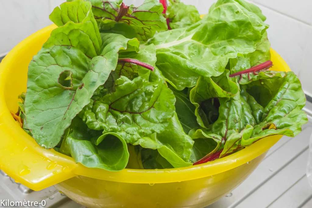 Gnocchi de blettes (gnocchi di bietole) - Étape 2