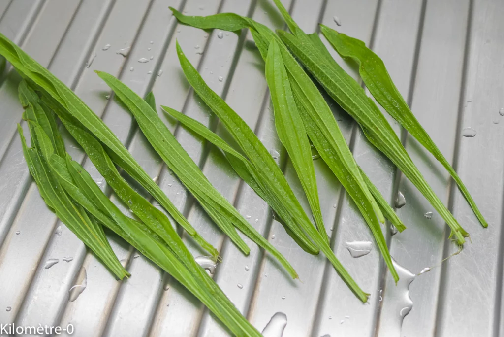 Chakchouka aux courgettes et au plantain lancéolé - Étape 2