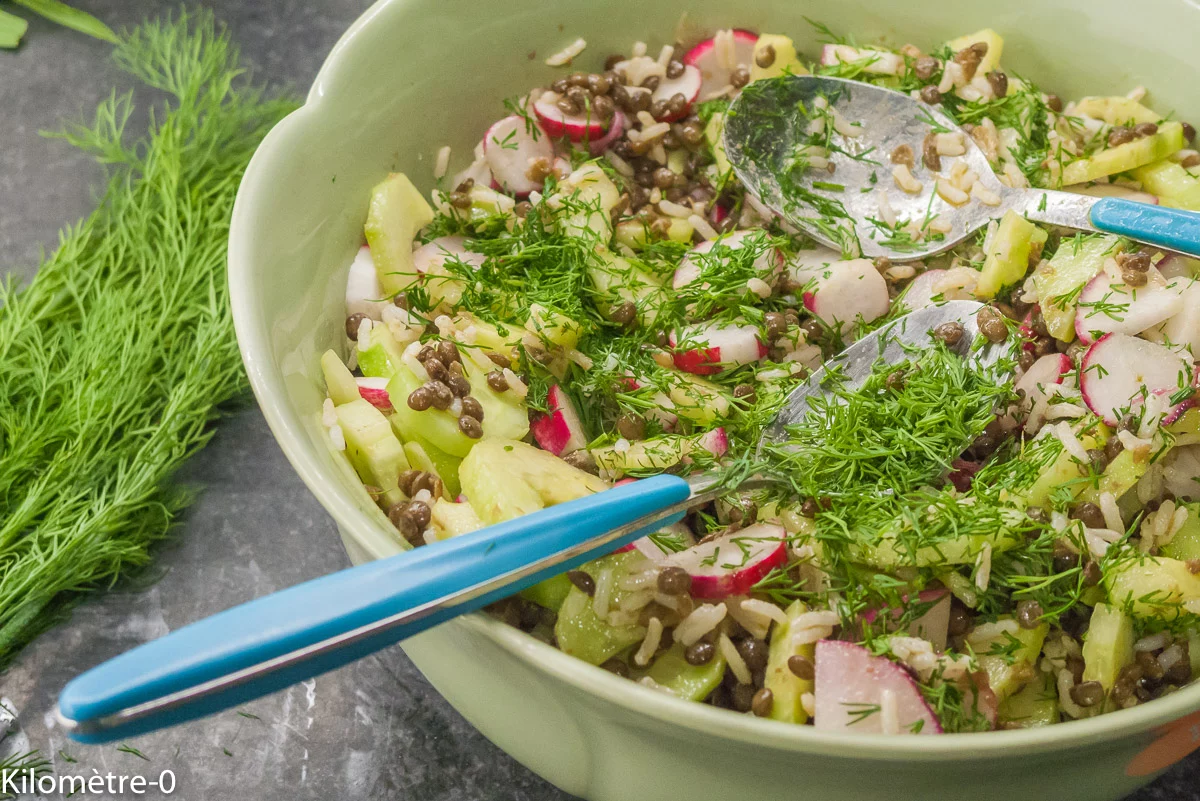 Photo de recette de salade, riz, lentilles; végétarienne, légumineuses, céréales, végé, printemps, été, légumes, concombre, radis, aneth, facile, légère, lunch box, bio, Kilomètre-0, blog de cuisine réalisée à partir de produits de saison et issus de circuits courts
