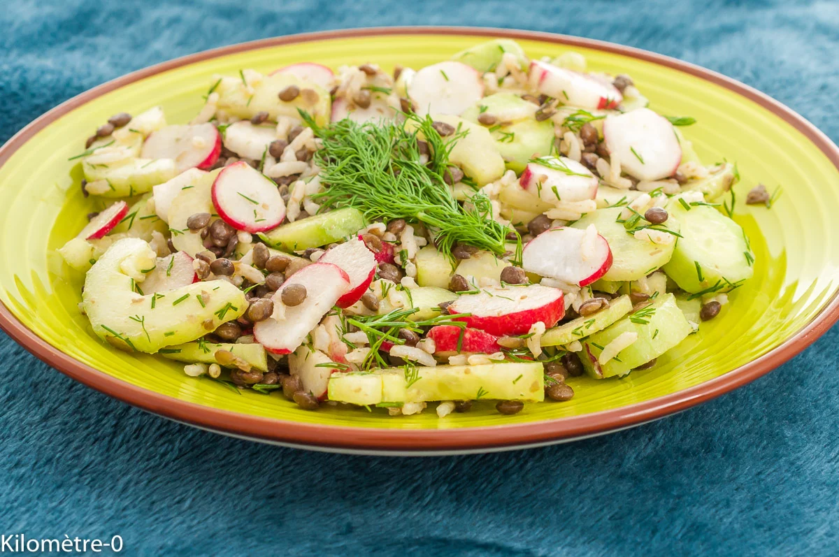 Photo de recette de salade, riz, lentilles; végétarienne, légumineuses, céréales, végé, printemps, été, légumes, concombre, radis, aneth, facile, légère, lunch box, bio, Kilomètre-0, blog de cuisine réalisée à partir de produits de saison et issus de circuits courts