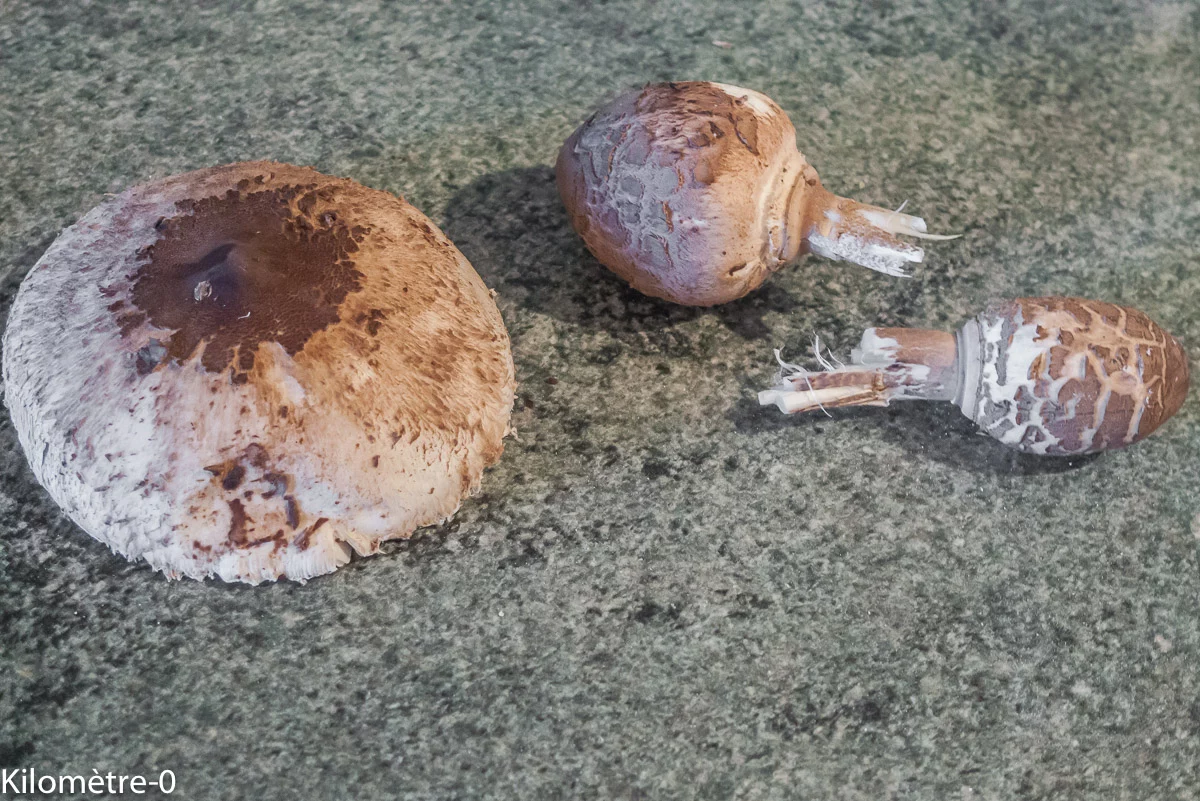 Photo de recette de Kilomètre-0, blog de cuisine réalisée à partir de produits de saison et issus de circuits courts