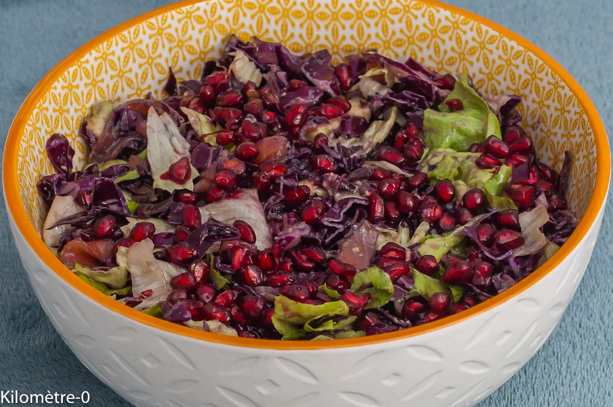 Photo de recette de salade, healthy, légère, chou rouge, saumon fumé, truite fumée, avocat, grenade, bio, rapide, tamari, huile de colza, Kilomètre-0, blog de cuisine réalisée à partir de produits de saison et issus de circuits courts