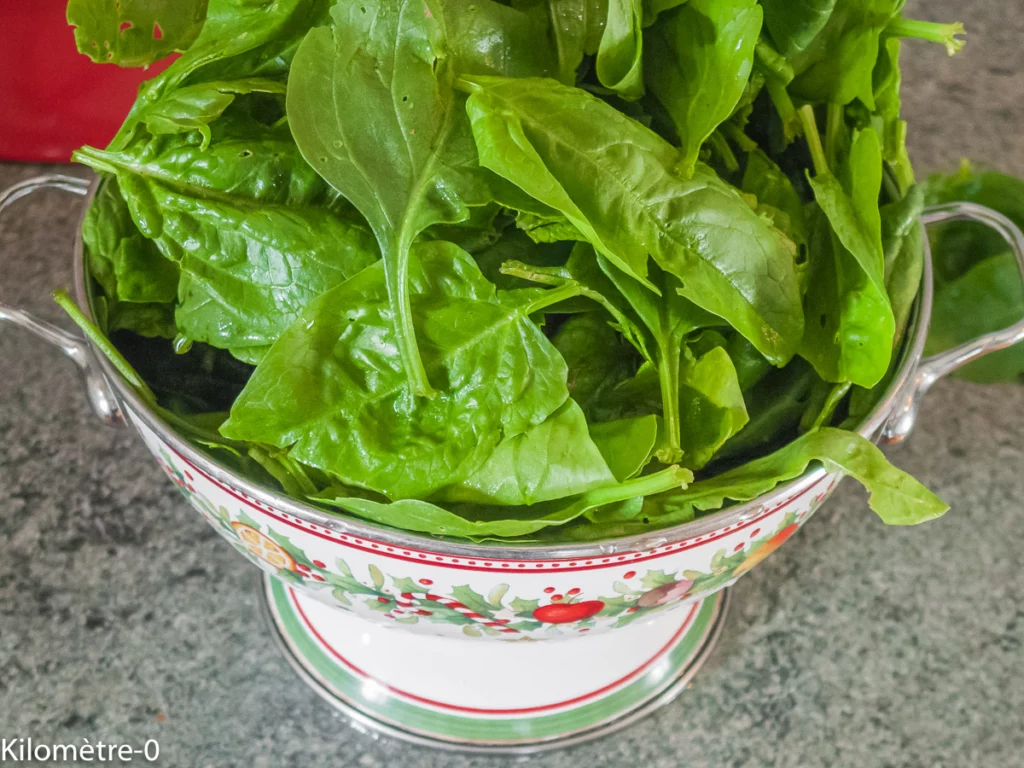 Roulé aux épinards garni de fromage échalote ciboulette et d&rsquo;oeufs durs - Étape 1