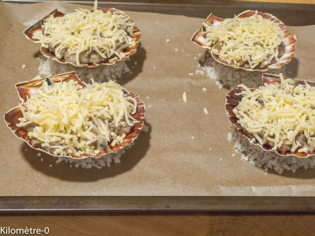 Coquilles saint jacques aux champignons et à la béchamel - Étape 8
