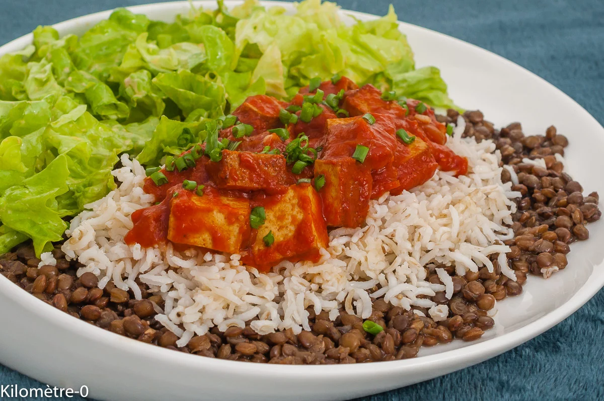 Photo de recette de rougail, végétarien, végé, tomates, tofu, lentilles, healthy, plat complet, économique, Kilomètre-0, blog de cuisine réalisée à partir de produits de saison et issus de circuits courts