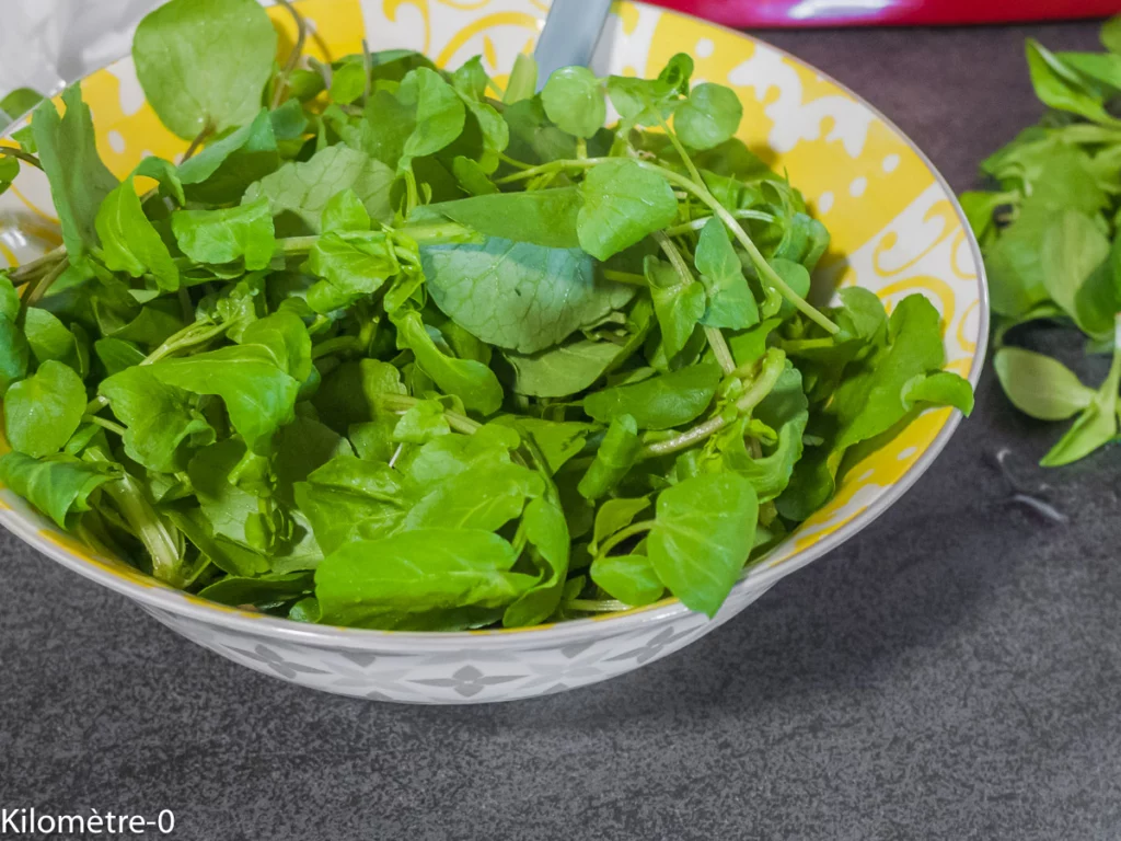 Salade de pommes de terre aux oranges, cresson et noix saint jacques - Étape 4