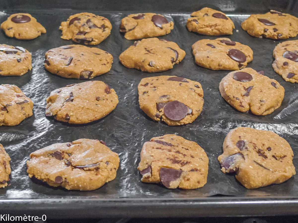 Photo de recette de cookie, gâteaux secs, biscuits, facile, rapide, bio, sain, farine de blé, farine de noix de coco , palets de chocolat, matin, goûter, Kilomètre-0, blog de cuisine réalisée à partir de produits de saison et issus de circuits courts