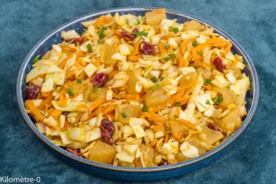 Photo de recette de salade, salade composée,  chou blanc, chou lisse, chou, carottes, légumes, ananas, cranberries, végétarien, végé, facile, crudités, entrée, automne, hiver, printemps, healthy, salé sucré, bio, Kilomètre-0, blog de cuisine réalisée à partir de produits de saison et issus de circuits courts