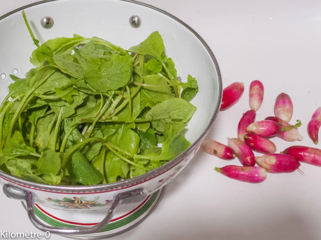 Salade de fenouil et courgette au pesto de fanes de radis - Étape 4