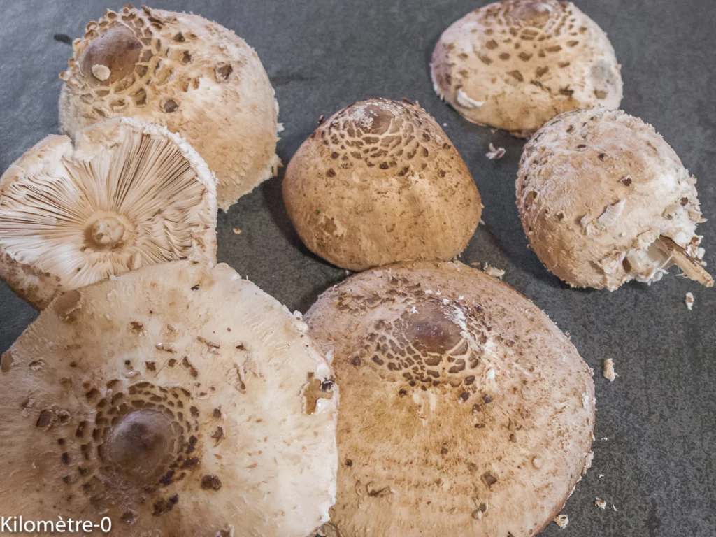 Coulemelles farcies à la ricotta et aux noix, légumes au four - Étape 2
