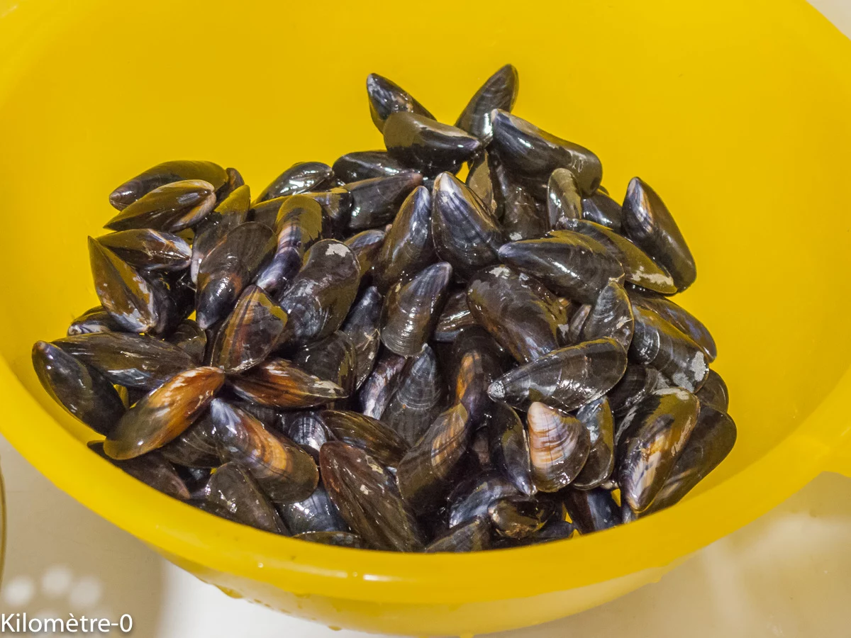 Photo de recette de moules, préparer des moules, nettoyer des moules, cuire des moules, cuisson des moules; technique, de Kilomètre-0, blog de cuisine réalisée à partir de produits de saison et issus de circuits courts