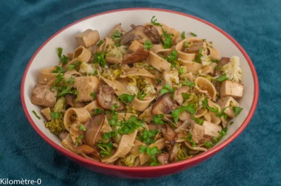 Photo de recette végé, végétarienne, pâtes, champignons, cèpes, brocolis, légumes, tofu fumé, tofu, facile, helathy, bio, complet, Kilomètre-0, blog de cuisine réalisée à partir de produits de saison et issus de circuits courts