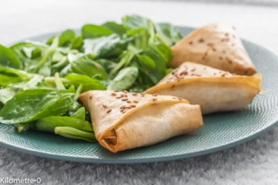 Photo de recette de  briks, brick, végé, végétarien,  épinards, champignons, noix , fromage, facile,  Kilomètre-0, blog de cuisine réalisée à partir de produits de saison et issus de circuits courts