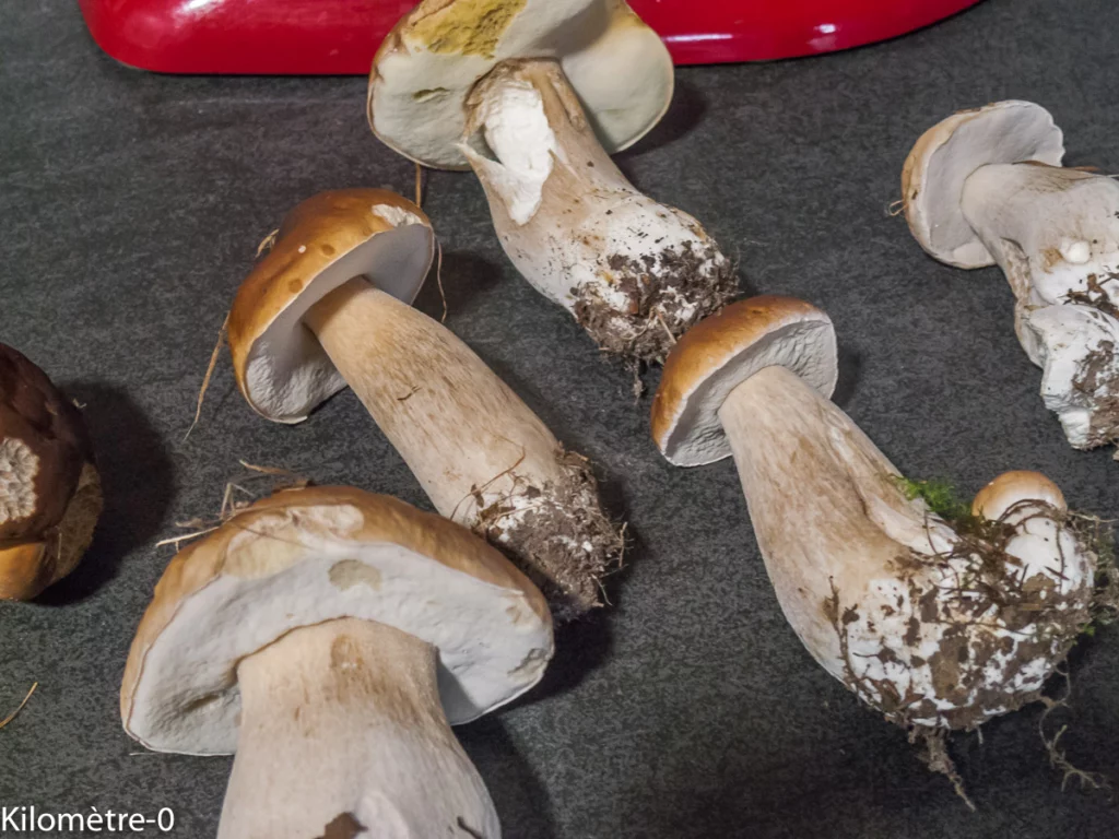 Parmentier de canard et de cèpes - Étape 4