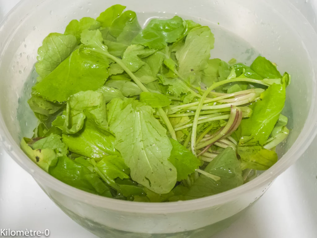 Soupe aux carottes, brocolis et fanes de radis, saint jacques et fromage râpé - Étape 2