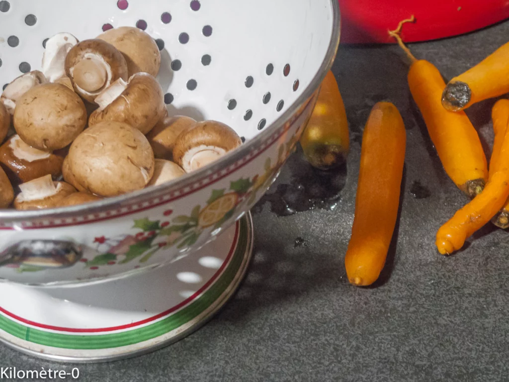 Blanquette de tofu aux légumes et champignons - Étape 1
