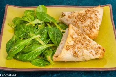 Photo de recette de briks, brick, poireaux, légumes, automne, hiver, apéro, facile, fromage, comté, bio, healthy, léger, Kilomètre-0, blog de cuisine réalisée à partir de produits de saison et issus de circuits courts