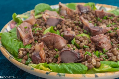 Photo de recette de salade complète, gésiers, gésiers fait maison, lentilles, légumineuses, protéines, automne, hiver, Kilomètre-0, blog de cuisine réalisée à partir de produits de saison et issus de circuits courts