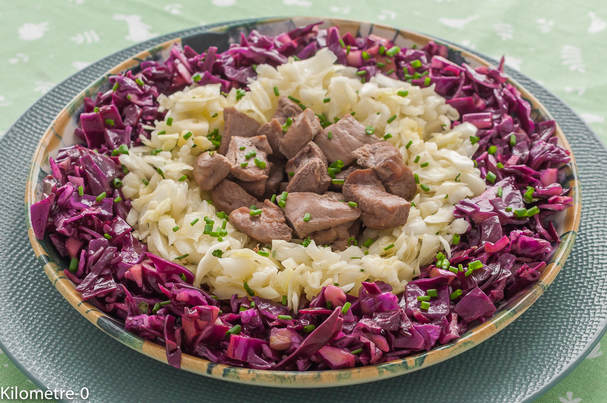 Photo de recette de salade, salade composée, hiver, automne, chou rouge, chou blanc,  canard, viande, légumes, chou, healthy, léger,  Kilomètre-0, blog de cuisine réalisée à partir de produits de saison et issus de circuits courts