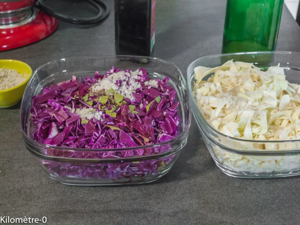 Salade de chou rouge et chou blanc au canard - Étape 1