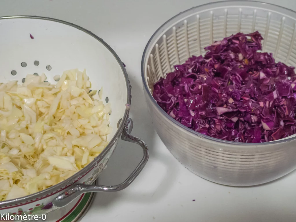 Salade de chou rouge et chou blanc au canard - Étape 2