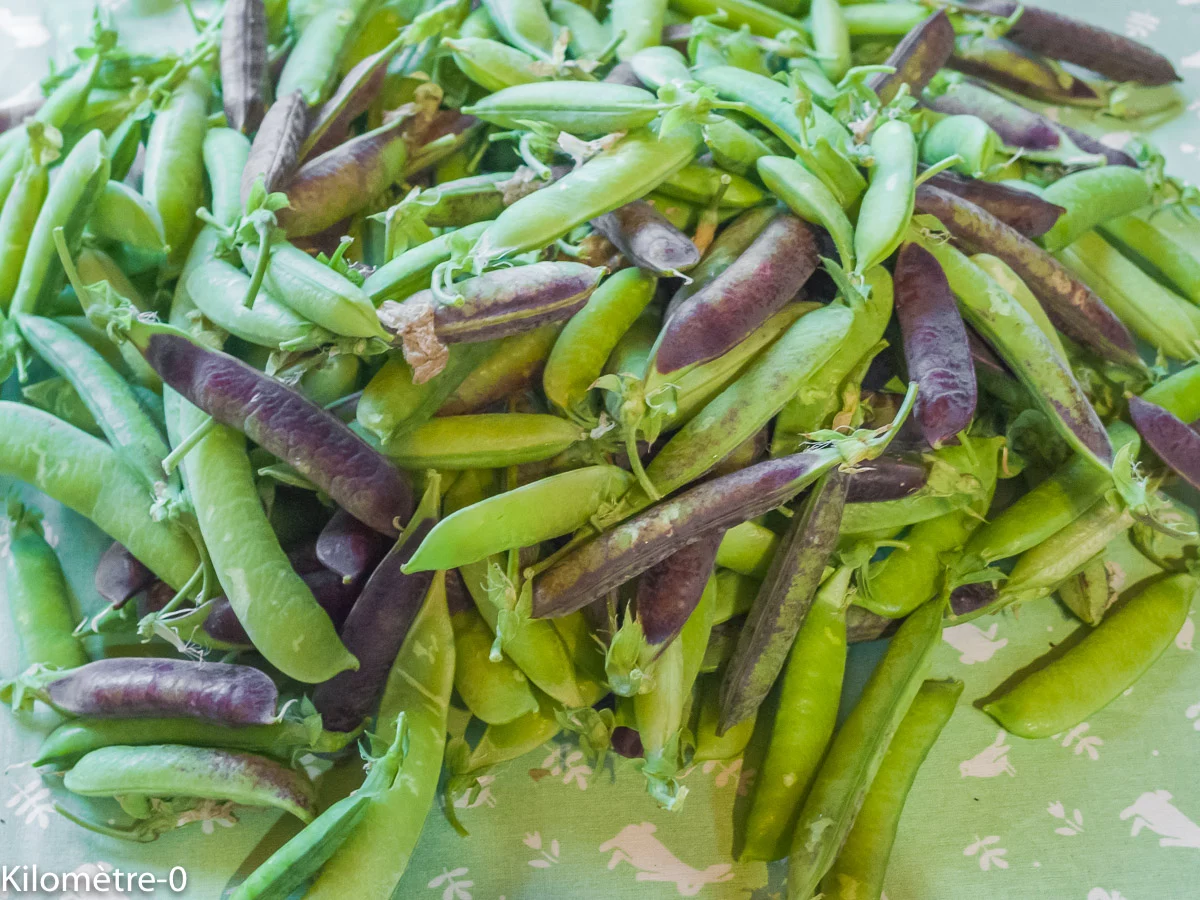Photo de recette de Kilomètre-0, blog de cuisine réalisée à partir de produits de saison et issus de circuits courts