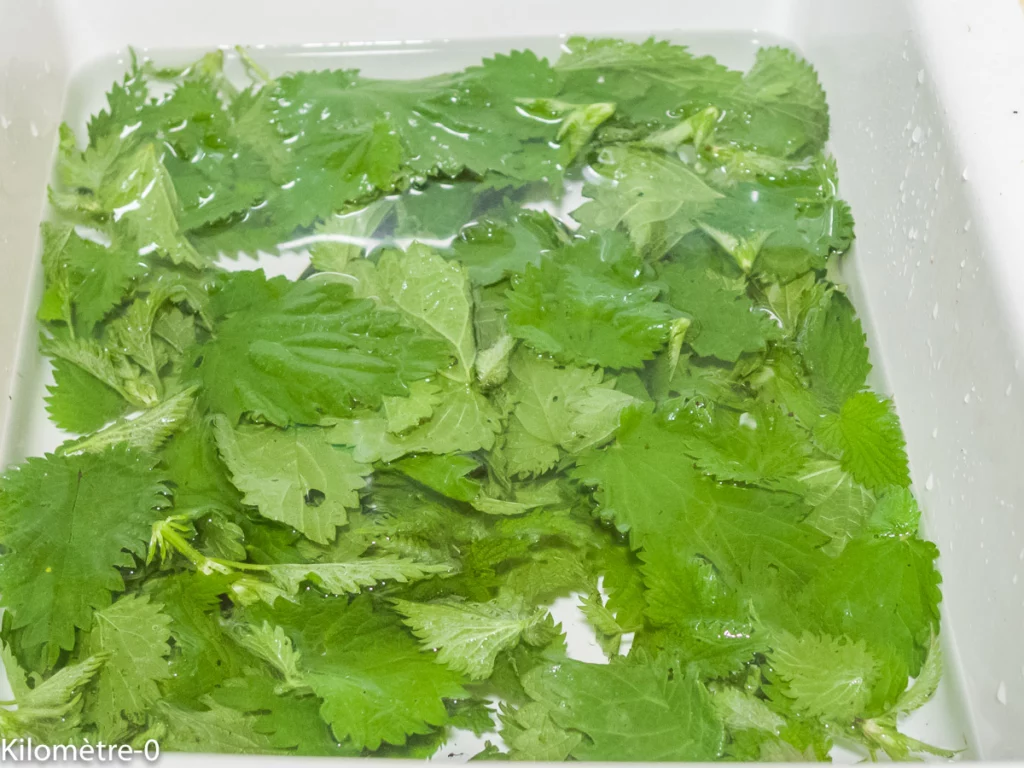 Cake aux orties et à la mimolette - Étape 1