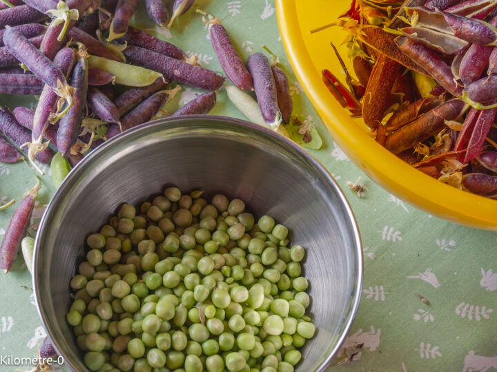 Chakchouka aux olives et pommes de terre sautées