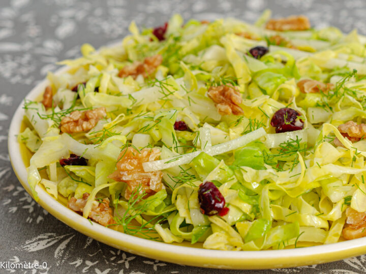 Recette de salade, salade composée, chou, crudités, chou pointu, chou rave, chou de printemps, noix, cranberries, bio, facile, sain, heathy, Kilomètre-0