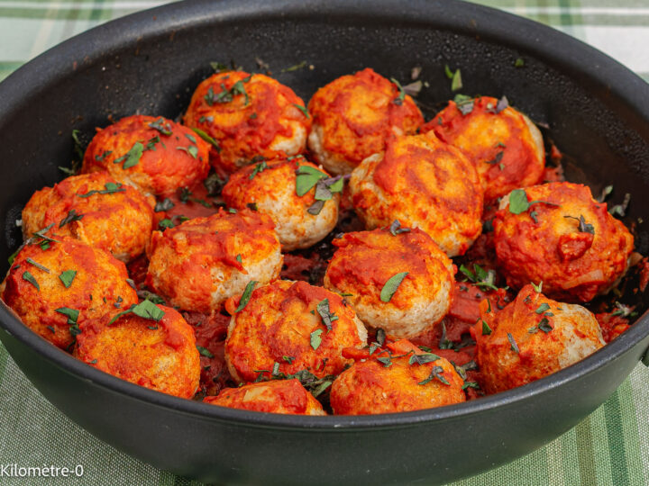 Recette végétarienne de polpette à la ricotta, sauce tomate — chapelure et basilic