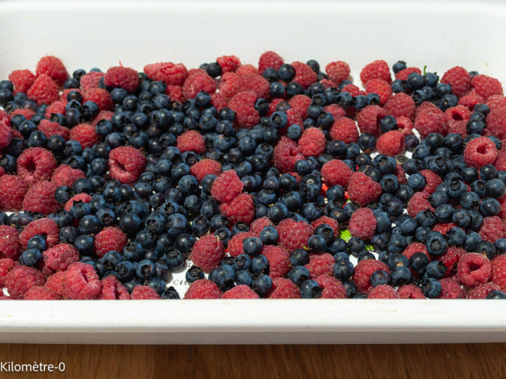 Far aux fruits rouges : étape 4 — Déposez les fruits rouges dans le fond d'un grand moule graissé.