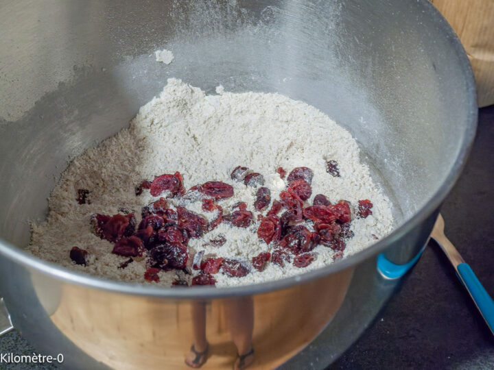 Cranberry Cookies: step 2 — Pour in the cranberries and mix..