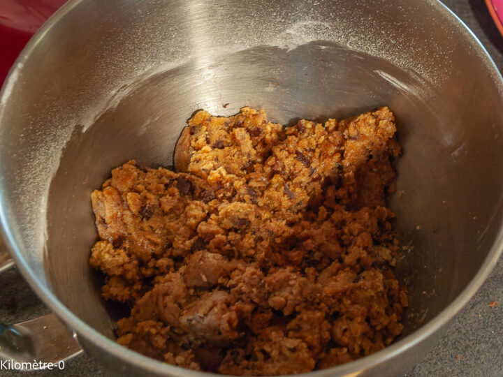 Cookies aux pépites de chocolat : étape 6 — Continuez de mélanger jusqu'à ce que vous puissiez la travailler pour faire vos…