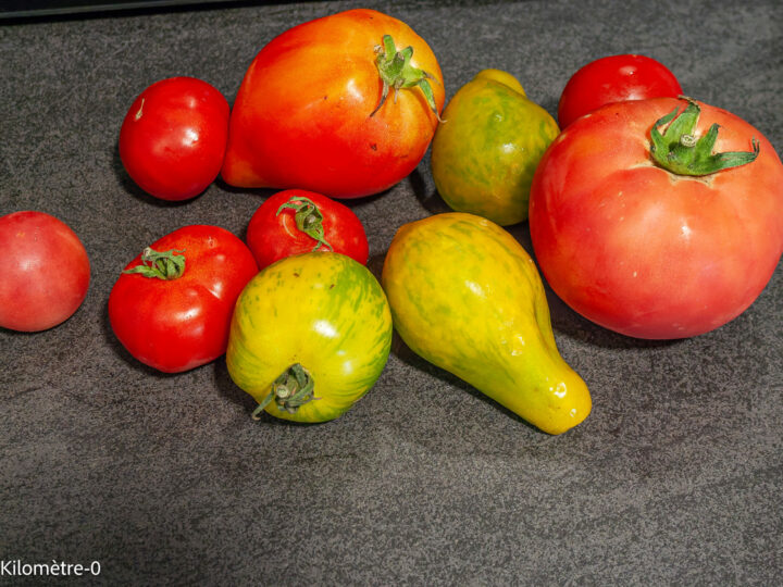 Salade de lentilles aux tomates, concombre, poivrons, câpres et feta : étape 3 — Lavez et pelez les tomates, coupez-les en…